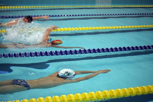 狼等球队的 狼等球队的