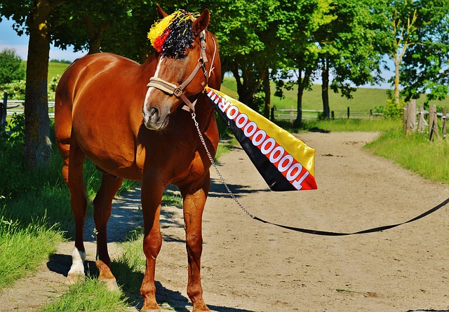 这些球队的 这些球队的