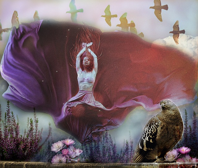 追求自己的 追求自己的